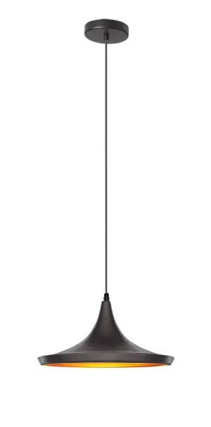 Dainolite 1 Light Pendant Matte Black Gold 14"L x 14"W x 7"H