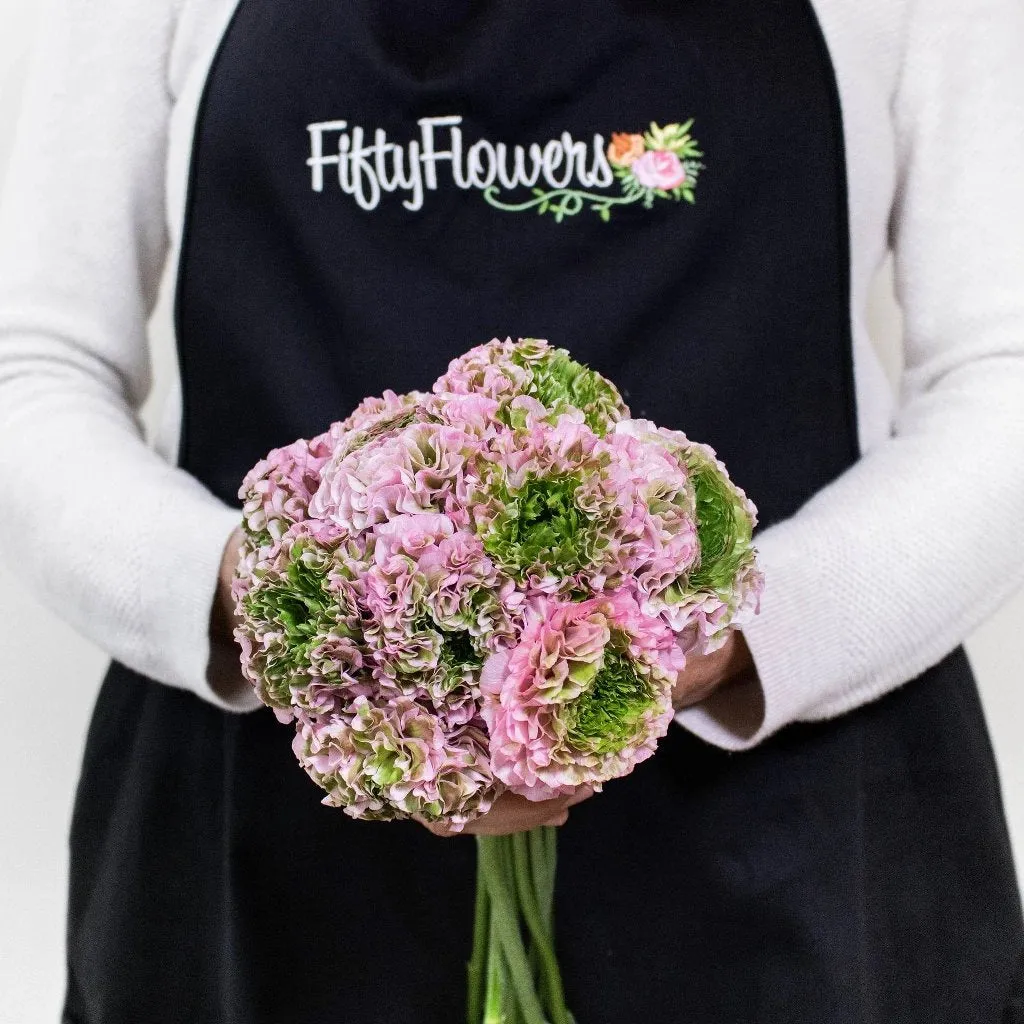 Light Pink Pon Pon Ranunculus Flowers